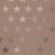 Weihnachtpapier Luxus Metallisiert ETOILE ROSE GOLD