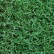 SizzlePak Green 10KG