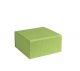 Smartbox 20x19x10cm HELLGRÜN